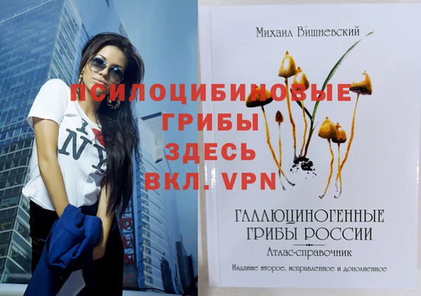 спиды Баксан