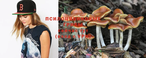 ГАЛЛЮЦИНОГЕННЫЕ ГРИБЫ Балабаново