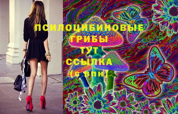 ГАЛЛЮЦИНОГЕННЫЕ ГРИБЫ Балабаново