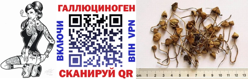 mega ТОР  Злынка  Галлюциногенные грибы ЛСД 